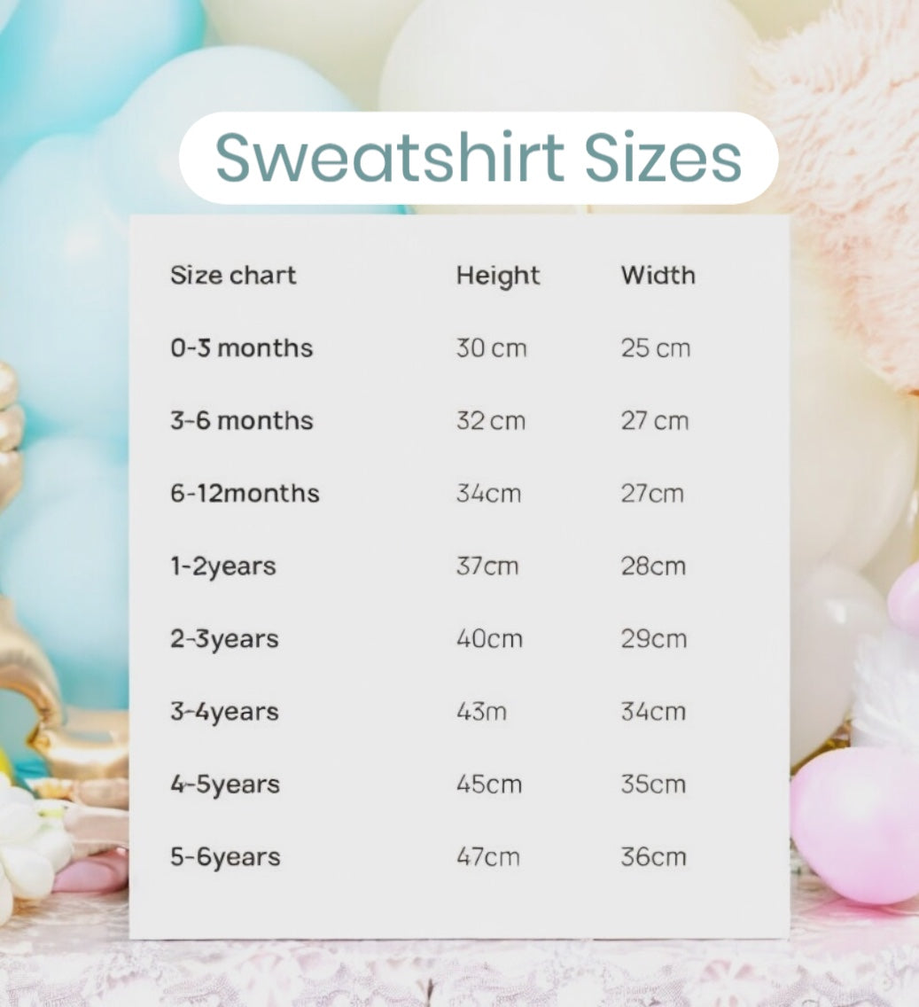 Ms Rachel Personalised Birthday T-shirt or Sweatshirt – Embroidered with Name Age, Character-Inspired Design – Baby & Toddler Cake Smash Top