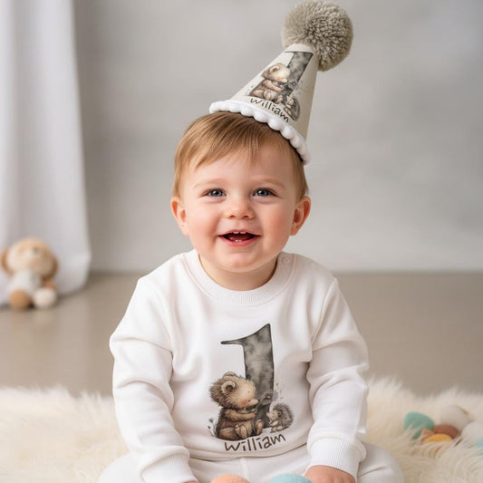 Baby boy wearing woodland first birthday sweatshirt with bear and hedgehog number one design