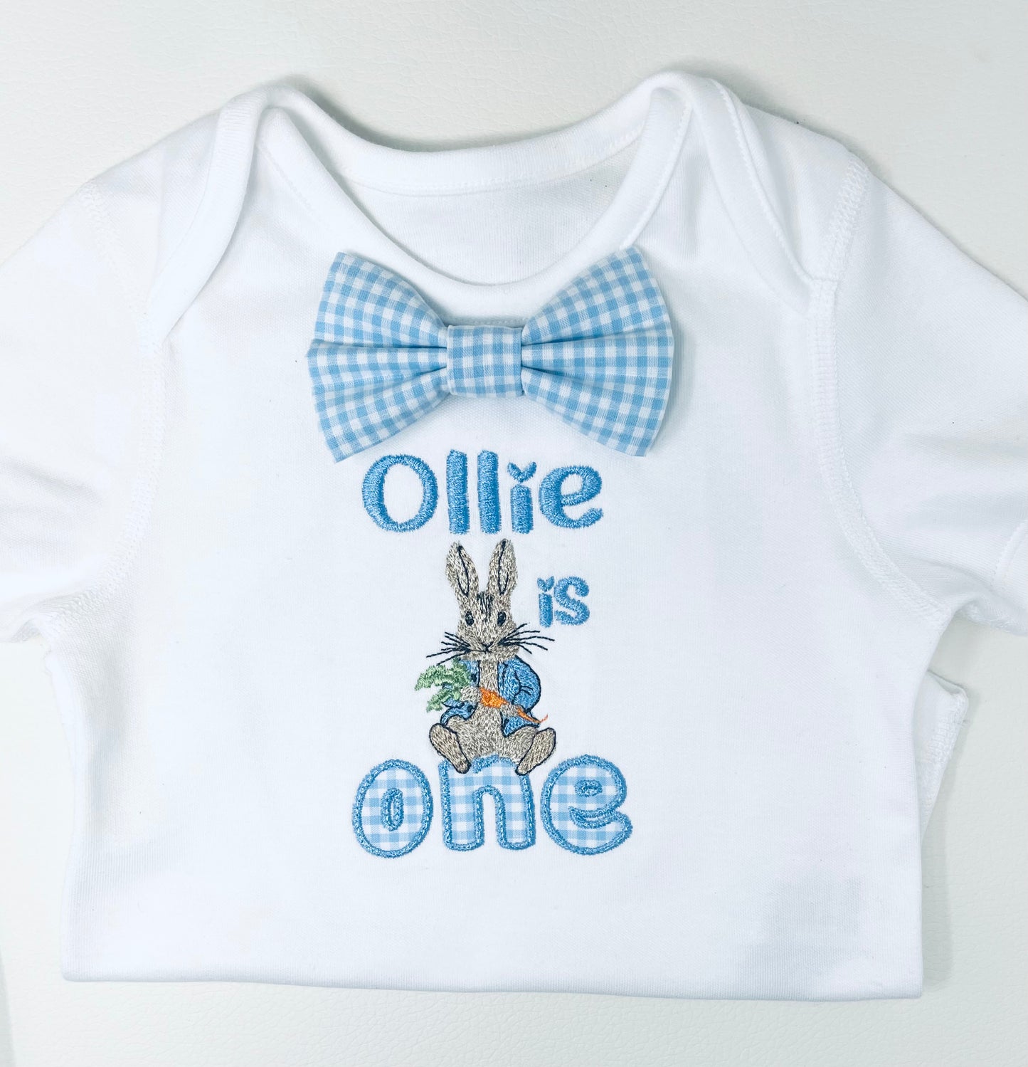 Peter Rabbit Gingham Baby Blue Boy's 1st Birthday Cake Smash Party Outfit