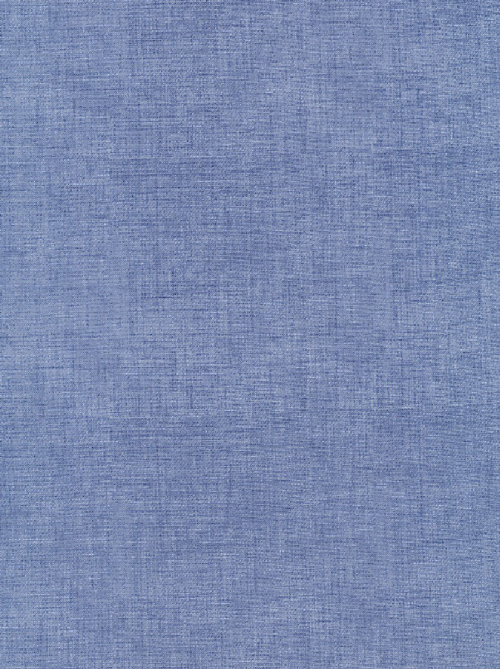 close up of John Loudens chambray blue fabric 